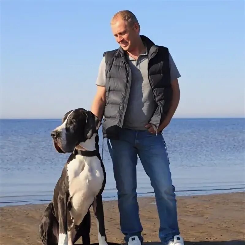 Фамилия бегунов. Фамилия бегунов