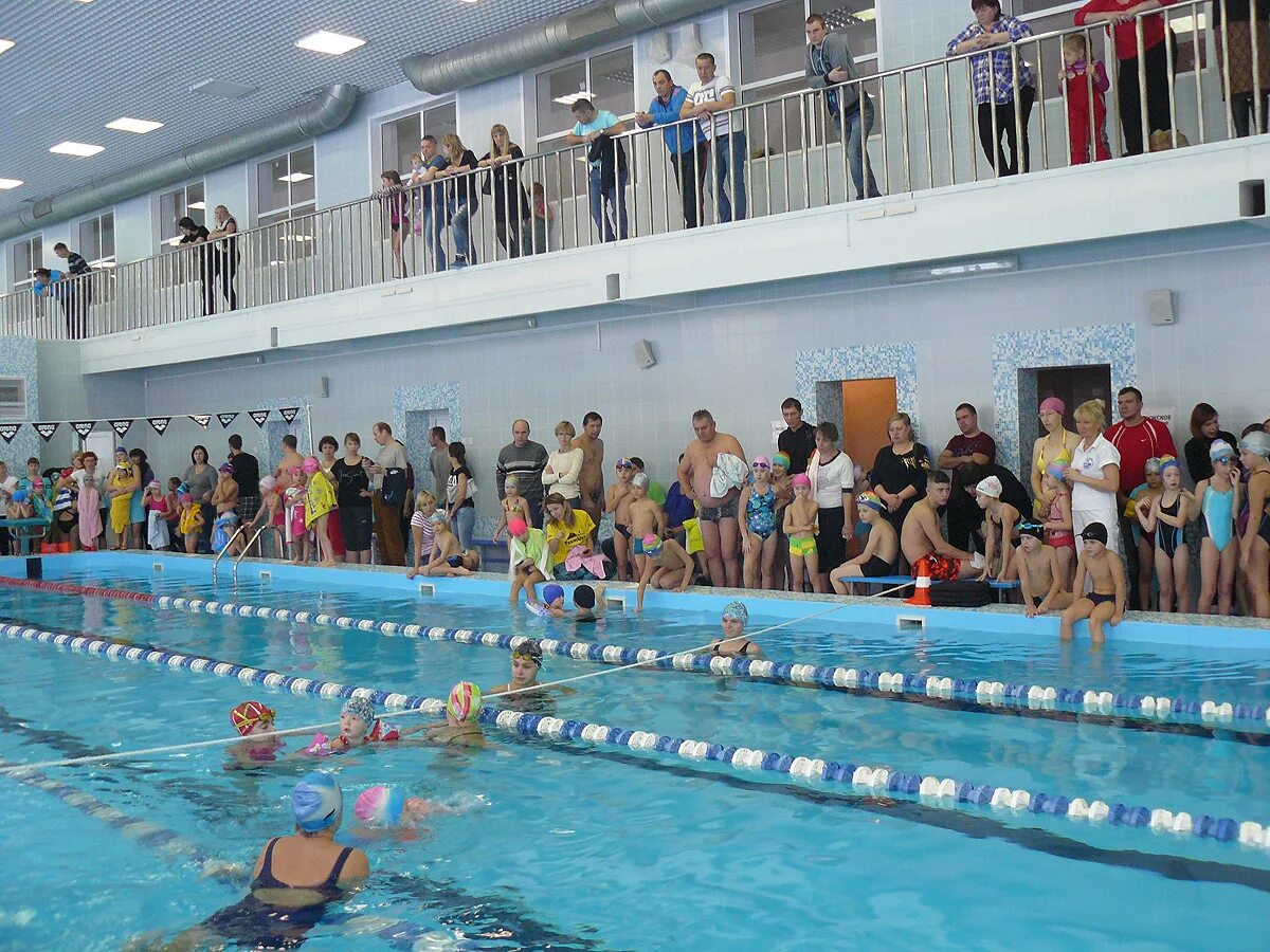бассейн снежинск. плавание спартакиада. весенние старты в бассейне. бассейн урал. школьник бассейн бассейн снежинск.