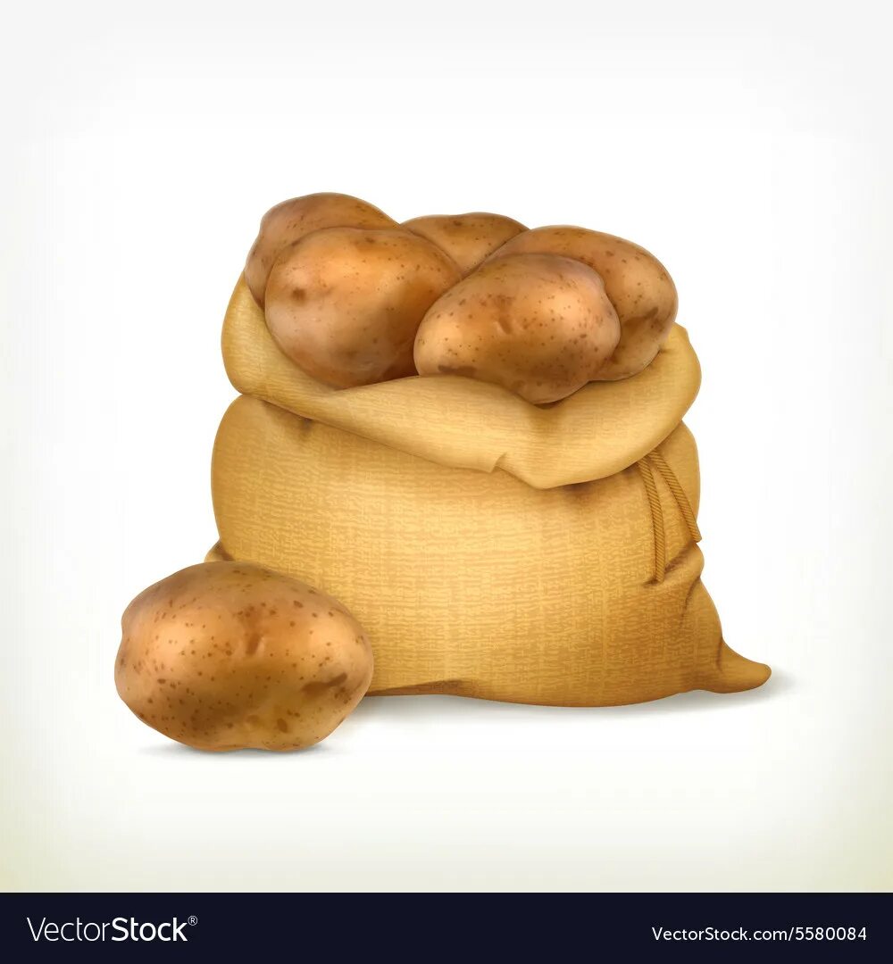 There are some potatoes. Картофель в мешках. Мешок картошки. Картошка на прозрачном фоне. Вектор мешок картофель.