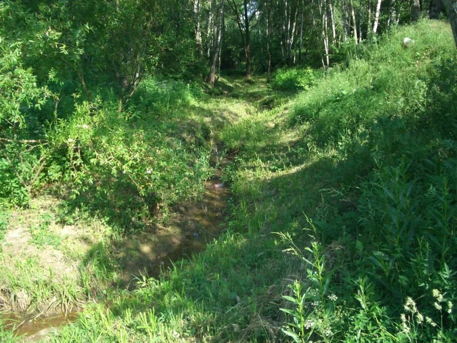 Овраг 6 букв