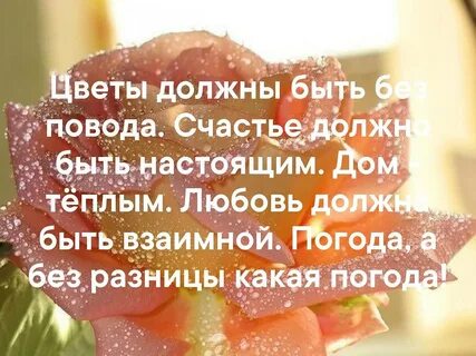 Цветы без повода