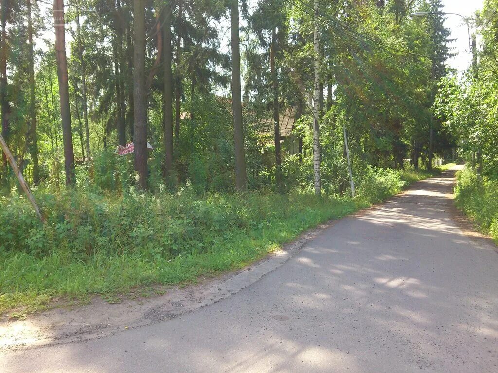 приморское шоссе лисий нос. лисий нос деловая 17. участки лисий нос. лисий нос деловая 17. лисий нос зеленый проспект 2.