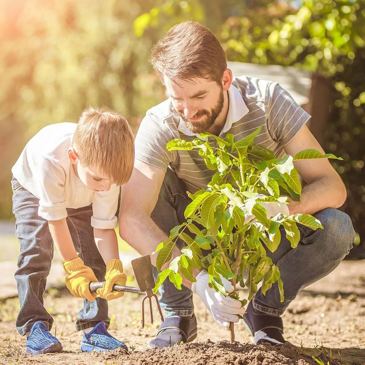 Люди на даче. Совместный труд в семье. Совместный труд в семье. Коллективная форма труда. Труд в семье.