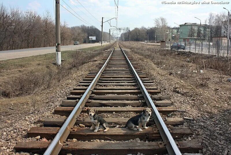 Разбор железная дорога. ЖД станция Урванка пути. Линия Урванка Московская в Новомосковске. Разобранная железная дорога. Новомосковское кольцо ЖД.