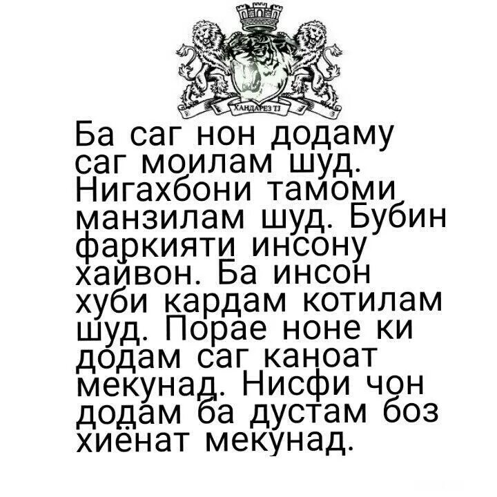 Моил. Зодруз муборак. Ба саг нон додому могилам шуд. Табрикоти зодрузи. Картинка ба саг нон додому саг могилам шуд.