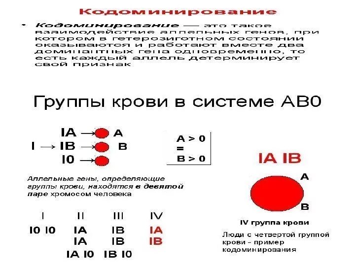 Взаимодействие генов группы крови. Гены определяющие группы крови системы АВО располагаются в. Классификация групп крови по системе АВО. Группа крови по системе АВО И резус. Состав групп крови по системе АВО.