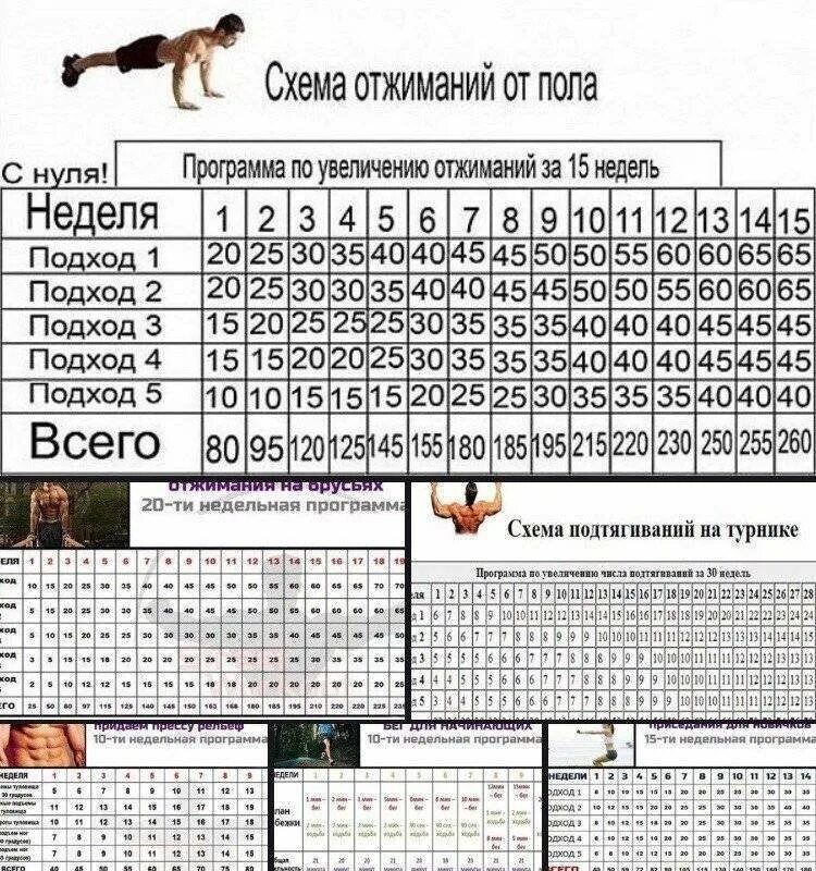 Подтягивания раз в неделю. Схема занятий турник брусья отжимания. Схема тренировок отжимания брусья и турник. Отжимания от пола программа тренировок с нуля. Программа тренировок турник брусья отжимания.