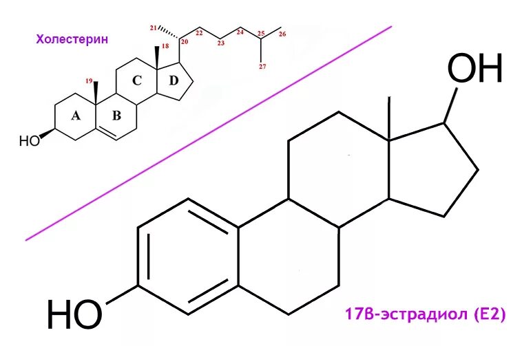 Эстрадиола. Эстрадиол формула. Эстрадиол молекула. 17b эстрадиол. Эстрадиол гормон у мужчин