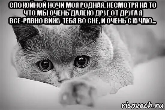 Все равно видишь