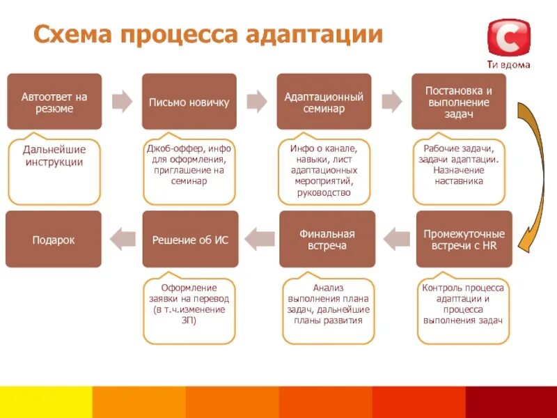 Процедура адаптации. Бизнес процесс адаптация сотрудников. Бизнес процесс адаптации нового сотрудника. Бизнес процесс адаптация персонала схема. Процесс адаптации персонала схема.