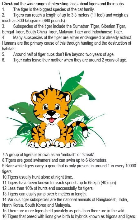 Facts about animals. About Tigers for Kids. Facts about Tigers. Tigers text for Kids. Tiger facts for Kids.