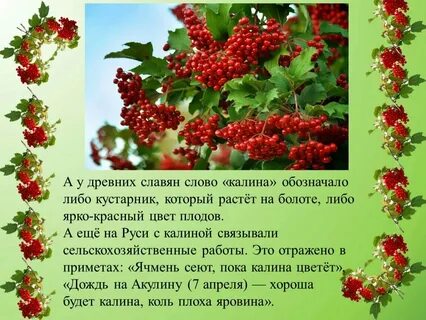 На горе то калина со словами