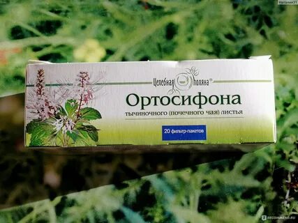Почечный чай прием