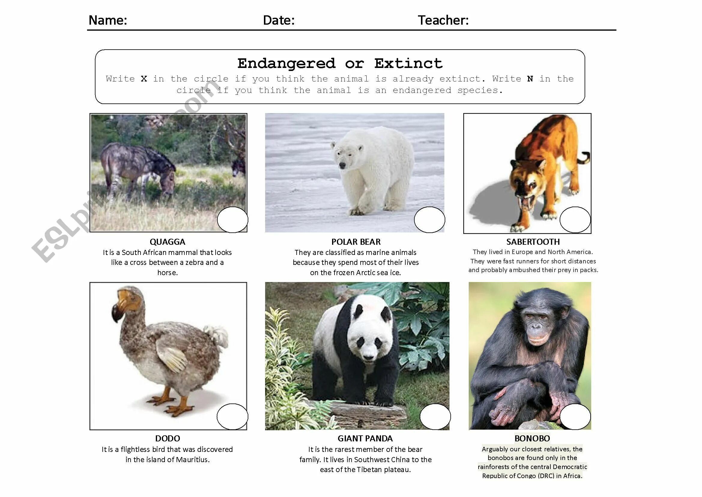 Extinct endangered animals. Endangered animals worksheets. extinct animals worksheet. endangered species worksheets. endangered animals esl.