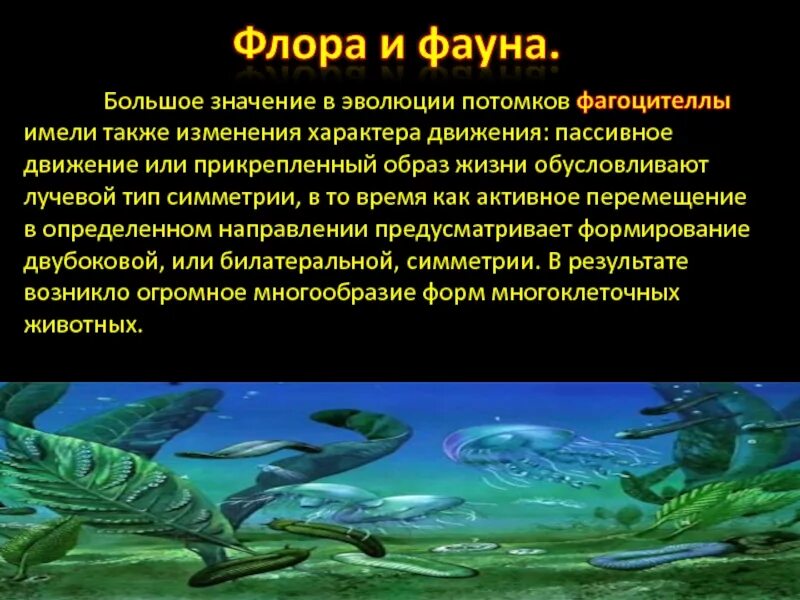 Большое значение в эволюции. Большое значение в эволюции