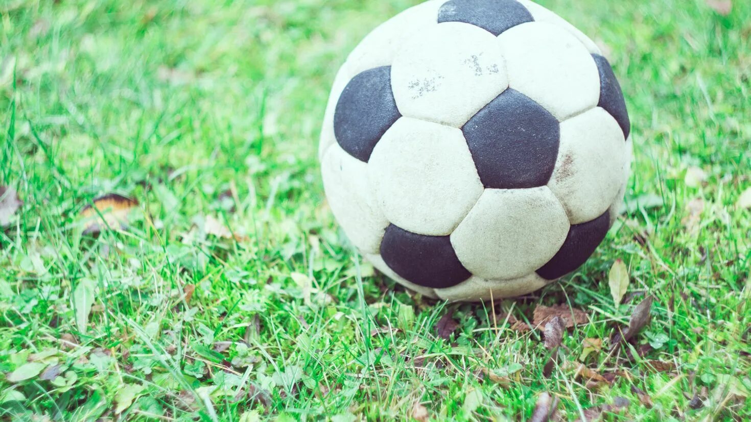 СОККЕР Болл. Футбольный мяч. Старый футбольный мяч. Футбольный мяч на траве.