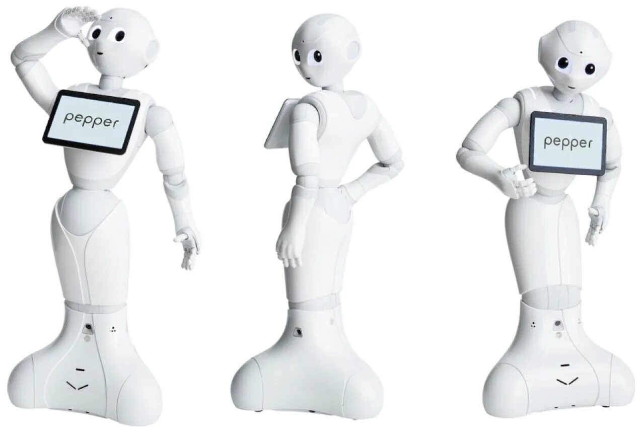 A robot is a special. Робот Пеппер. Японский робот Pepper. Робот перец. SOFTBANK робототехника.