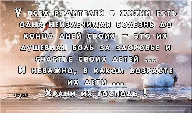 Мои дети моё богатство статус. Мои дети Мои Крылья за спиной статус. Дети Мои Крылья статус. У всех родителей в жизни есть одна неизлечимая.