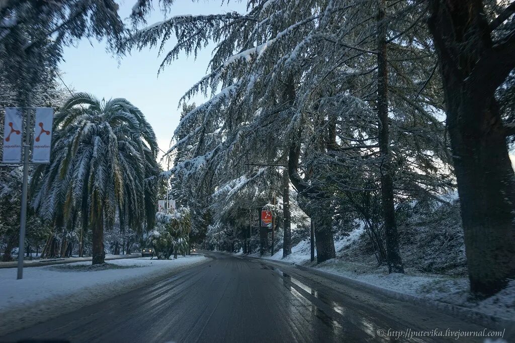 Погода в сухуми на самый точный. Абхазия Гагры зима. Абхазия Сухум зимой. Зимняя Абхазия Гагры. Гагры Абхазия зимой.