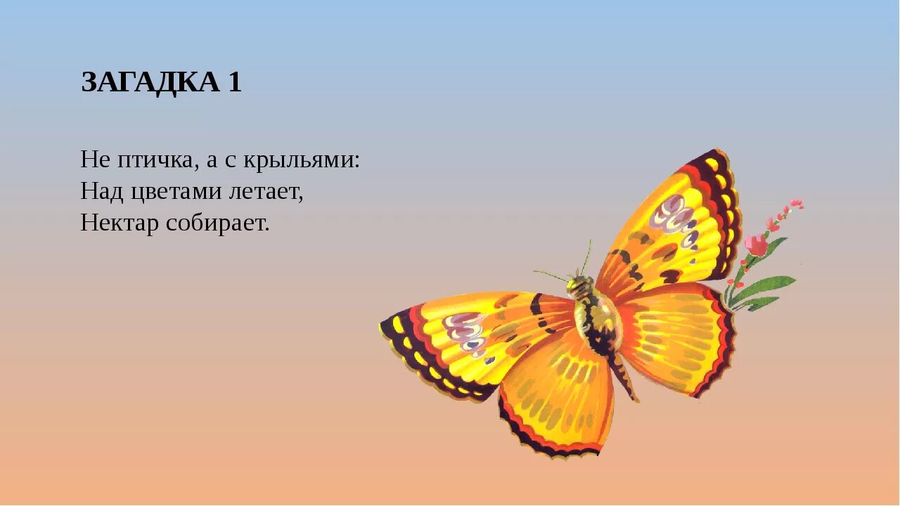 Отгадай загадку нарядные платьица. Загадка про бабочку. Загадка про бабочку для детей. Загадка про бабочку для дошкольников. Детская загадка про бабочку.