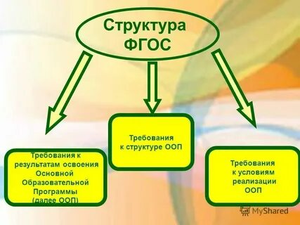 Общая образовательная программа это