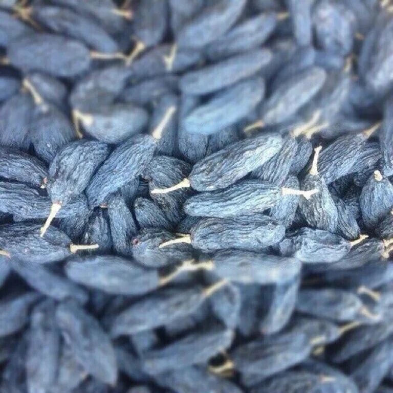 изюм изабелла. темный изюм кишмиш. кишмиш сушеный. узбекская термо. темный изюм кишмиш.