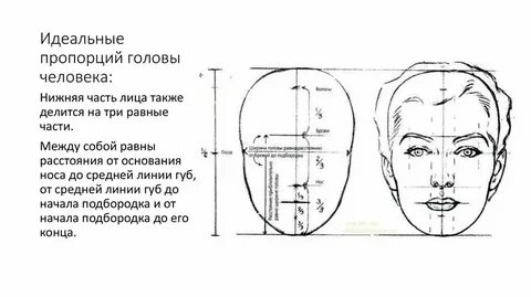 Сколько сантиметров лицо