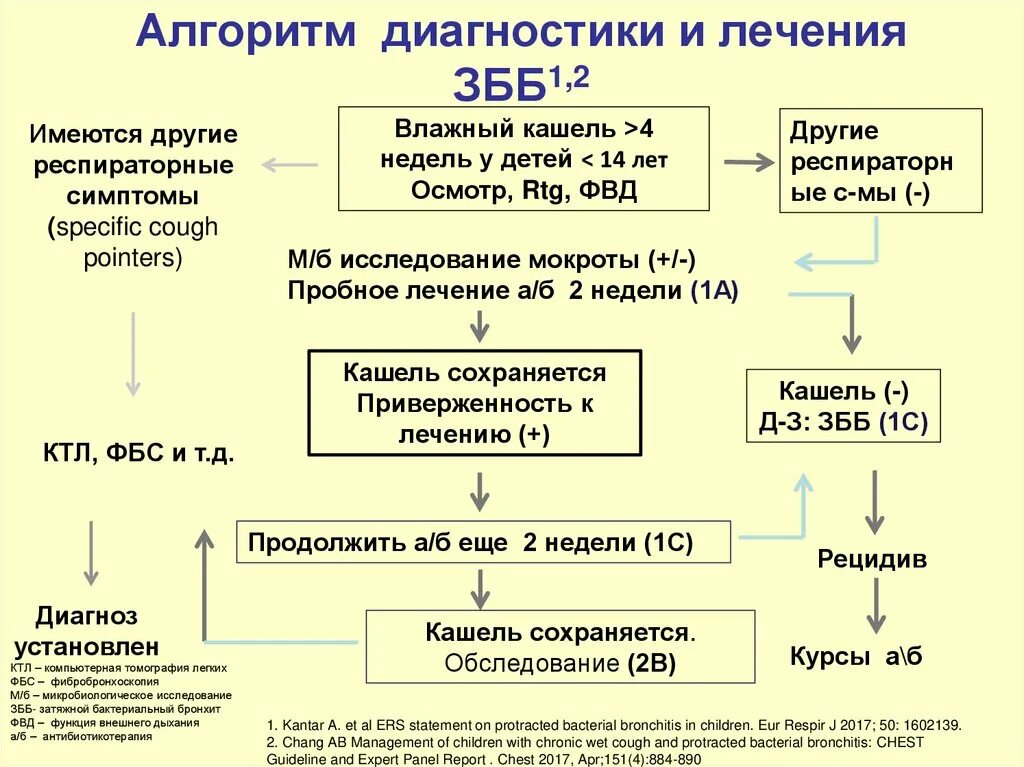 Алгоритмы лечения заболеваний
