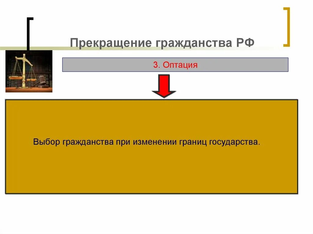 Выбор гражданства оптация. Прекращение гражданства РФ. Выбор гражданства при изменении границ государств. Оптация прекращение гражданства. Выбор гражданства при изменении границ