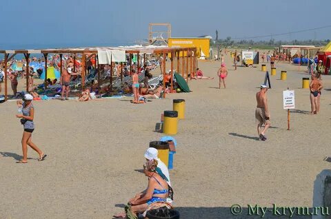 Погода в новофедоровке сакского