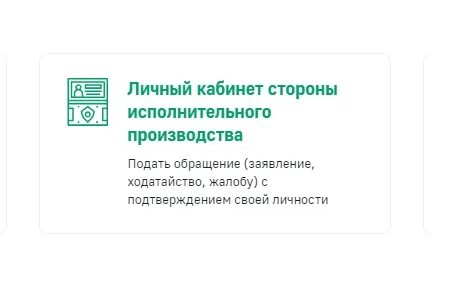 Стороны исполнительного производства вправе