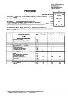 Отчетность 31