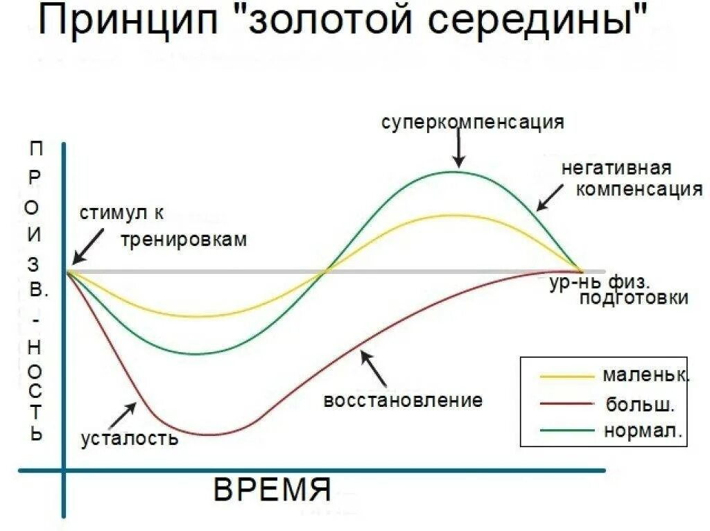 Через сколько восстанавливается цикл после. Фазы восстановления суперкомпенсация. Суперкомпенсация фаза какого восстановления. Фаза суперкомпенсации в спорте. Суперкомпенсация мышц.