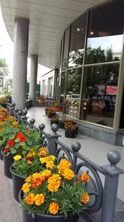 Дом одежды хабаровск