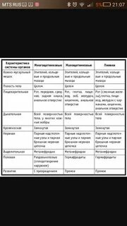 Характеристика червей плоские круглые кольчатые