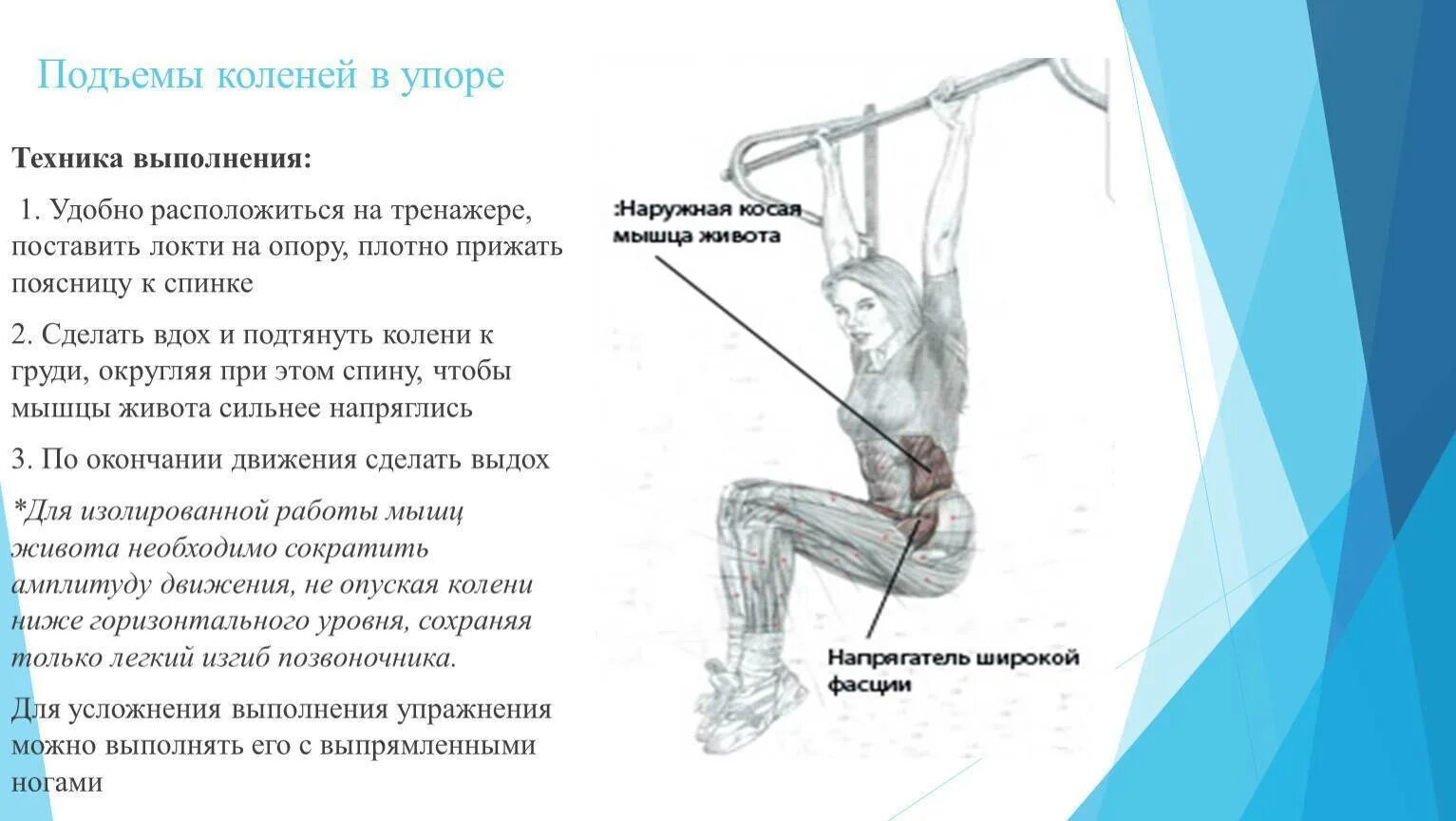 Техника выполнения упора. Подъем ног в висе техника. Подъем ног в висе на турнике. Подъем ног в висе в тренажере. Подъем коленей в висе.