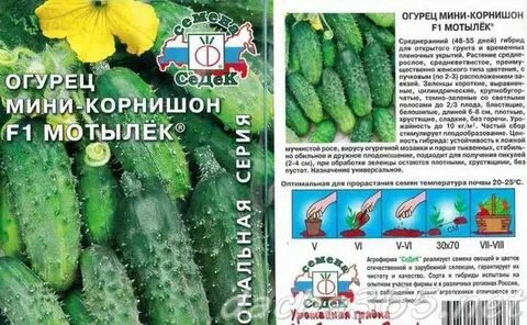 Огурцы корнишоны сорта для теплицы