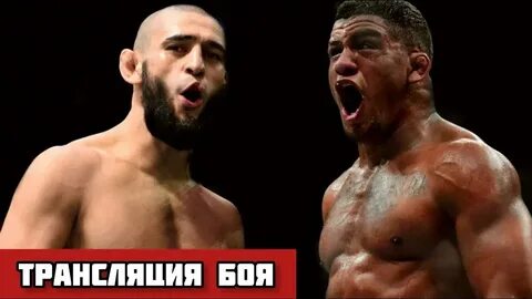 Прямой эфир бой ufc хамзат