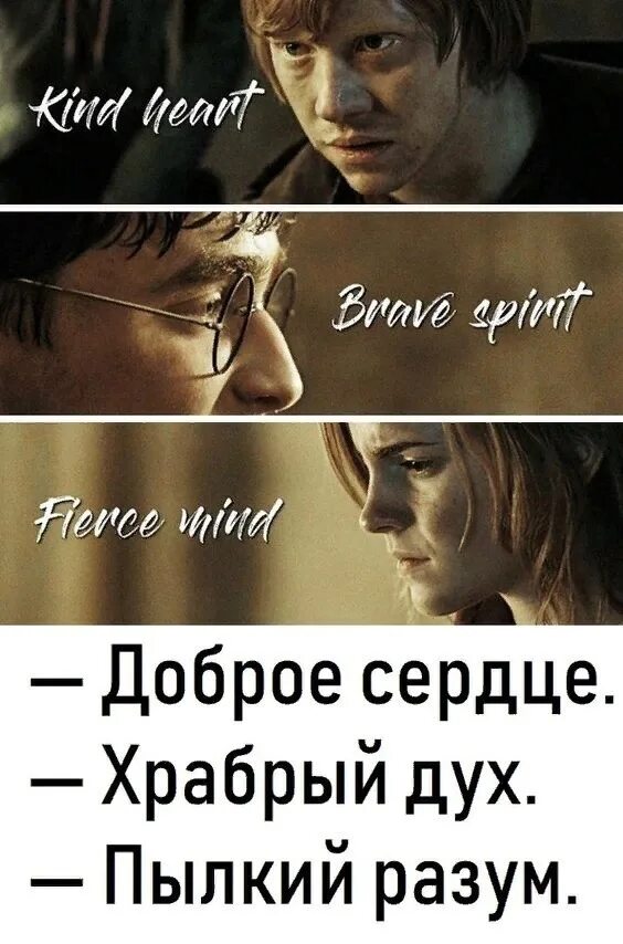 Тесты про поттера. Тесты Нарру плоттер Трикки.