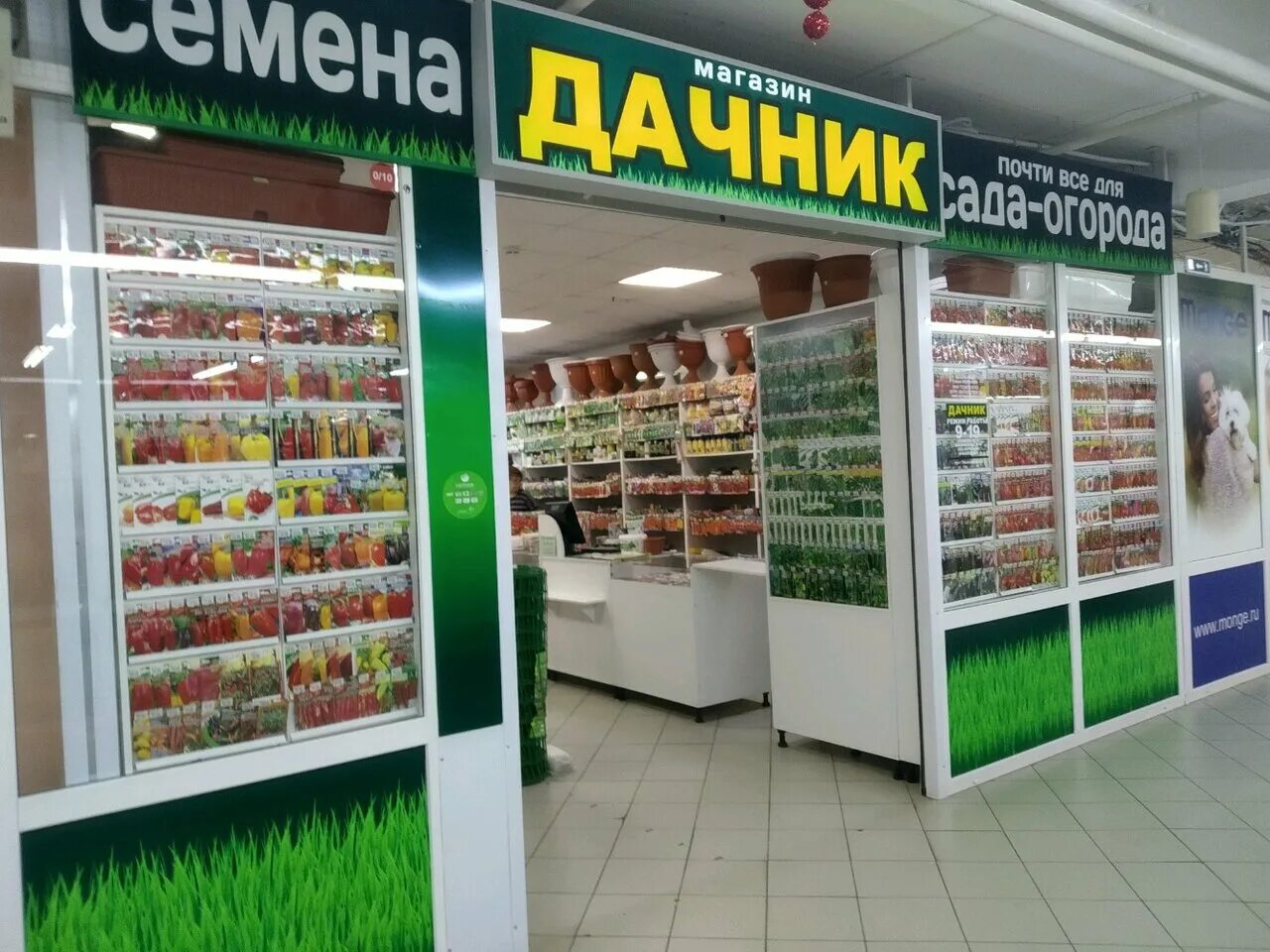 Магазин семена на центральном рынке. Пенза семена магазин. Магазин на даче. Магазин семян. Семена магазин выкладка.