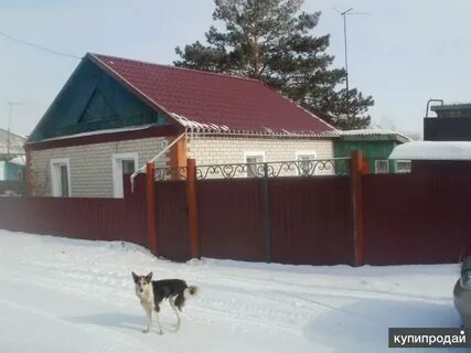 Дом славгород алтайский край