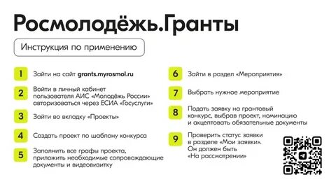 Заявка на грант росмолодежь 2024