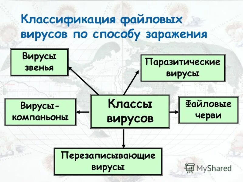 профилактика сетевых вирусов. классификация вирусов среда обитания. начало активации файловых вирусов. особенности файловых вирусов. классификация файловых вирусов.