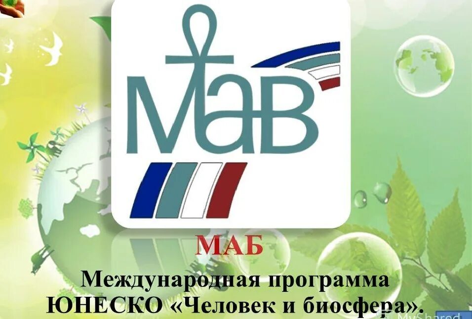 Программой юнеско человек и биосфера. Программа человек и биосфера. программа маб человек и биосфера. человек и биосфера юнеско. международные программы юнеско.