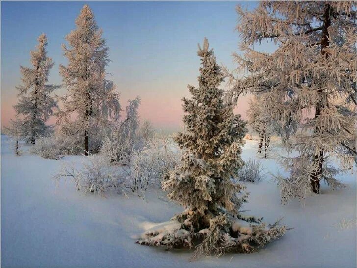 И под снежной бахромою. Чародейкою зимой. Чародейку под зимою. Чародейкою зимою. Чародейкою зимою околдован лес.