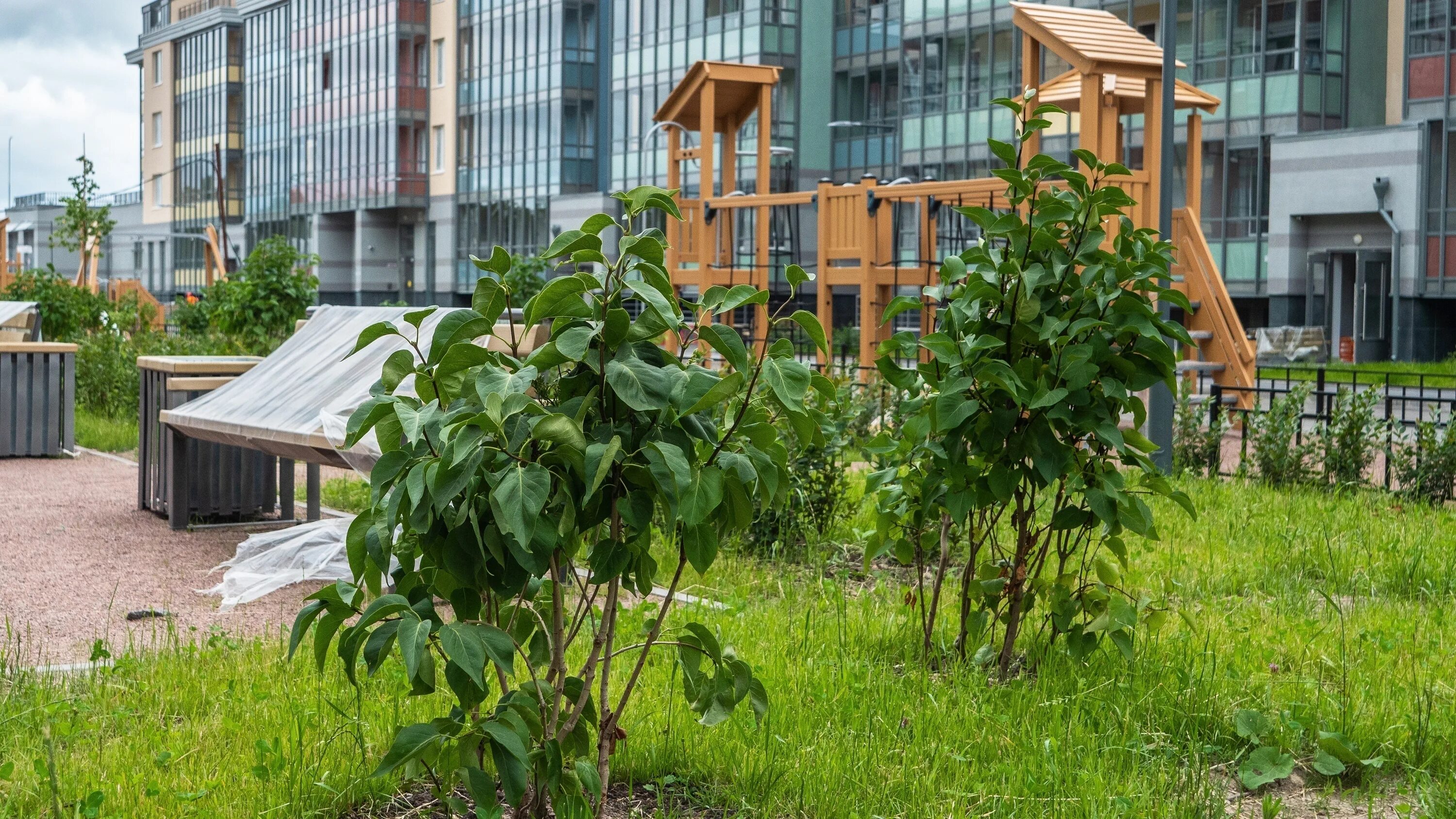 Kvartal green garden. Зелёный квартал на Пулковских высотах. Зеленый квартал Ярославль. Зеленый квартал площадка. ЖК зеленый квартал.