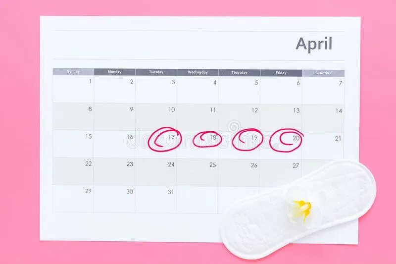 Месячные календарь. Ежедневник для месячных. Календарь месячных с цветочком. Блокнот менструационного цикла. Блокнот для месячных.