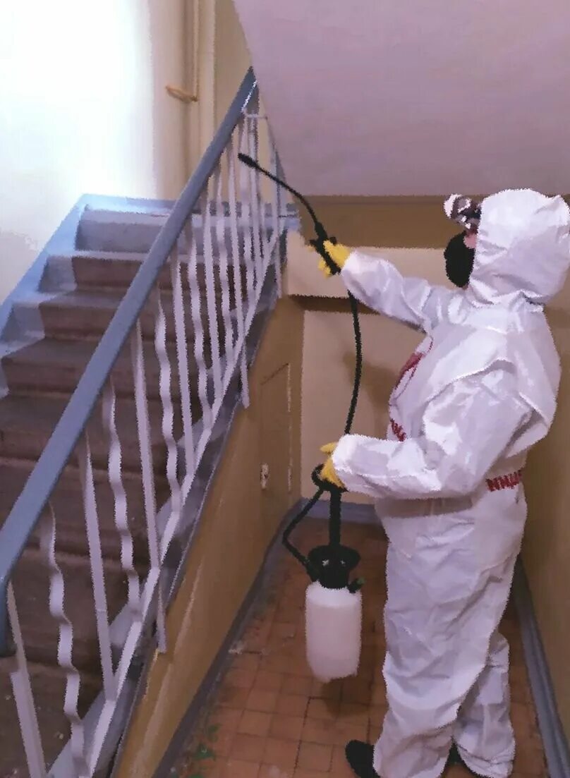 Дезинфекция виды методы средства дезинфекции. Дезинфекция механическая физическая химическая. Дезинфекция. Дезинфекция помещения относится. Схема виды дезинфекции методы дезинфекции.