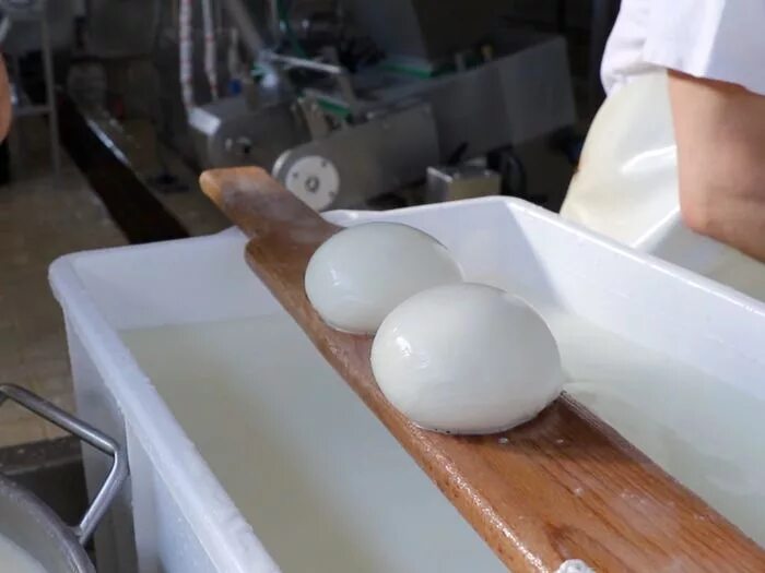 Этапы приготовления моцареллы. Как делают сыр моцарелла. Изготовление сыра моцарелла. Моцарелла приготовление. Как делают сыр моцарелла.