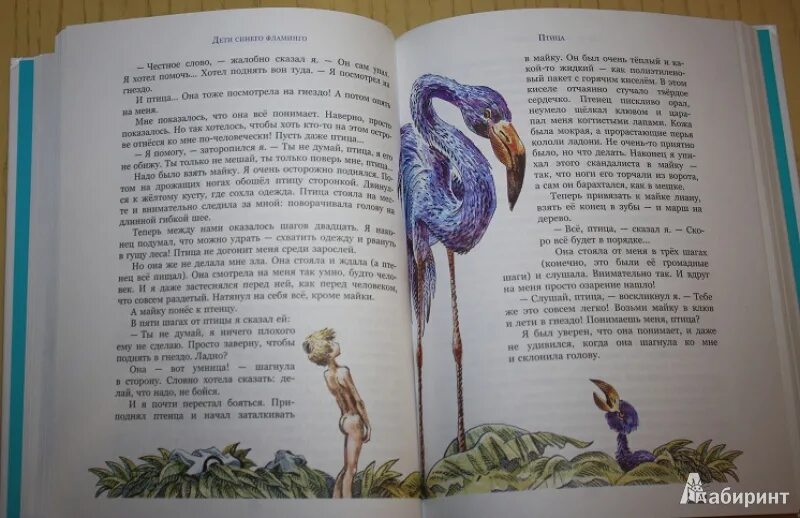 Синий фламинго читать